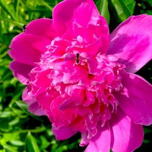 Meet your Posher, Stacy